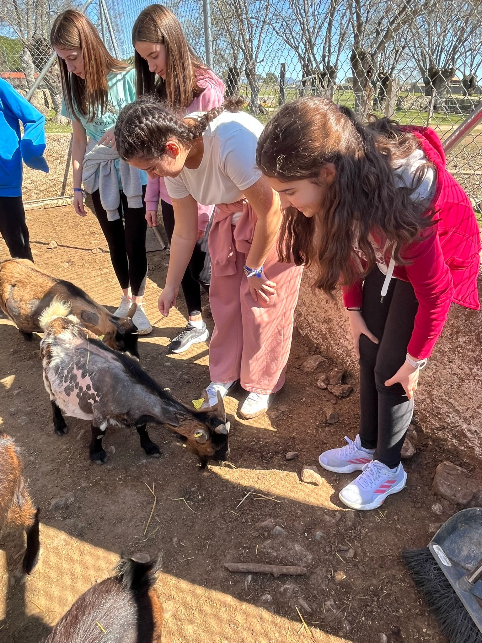 Aprender inglés viviendo la experiencia: así será la semana de 1º de ESO en Valdemorillo