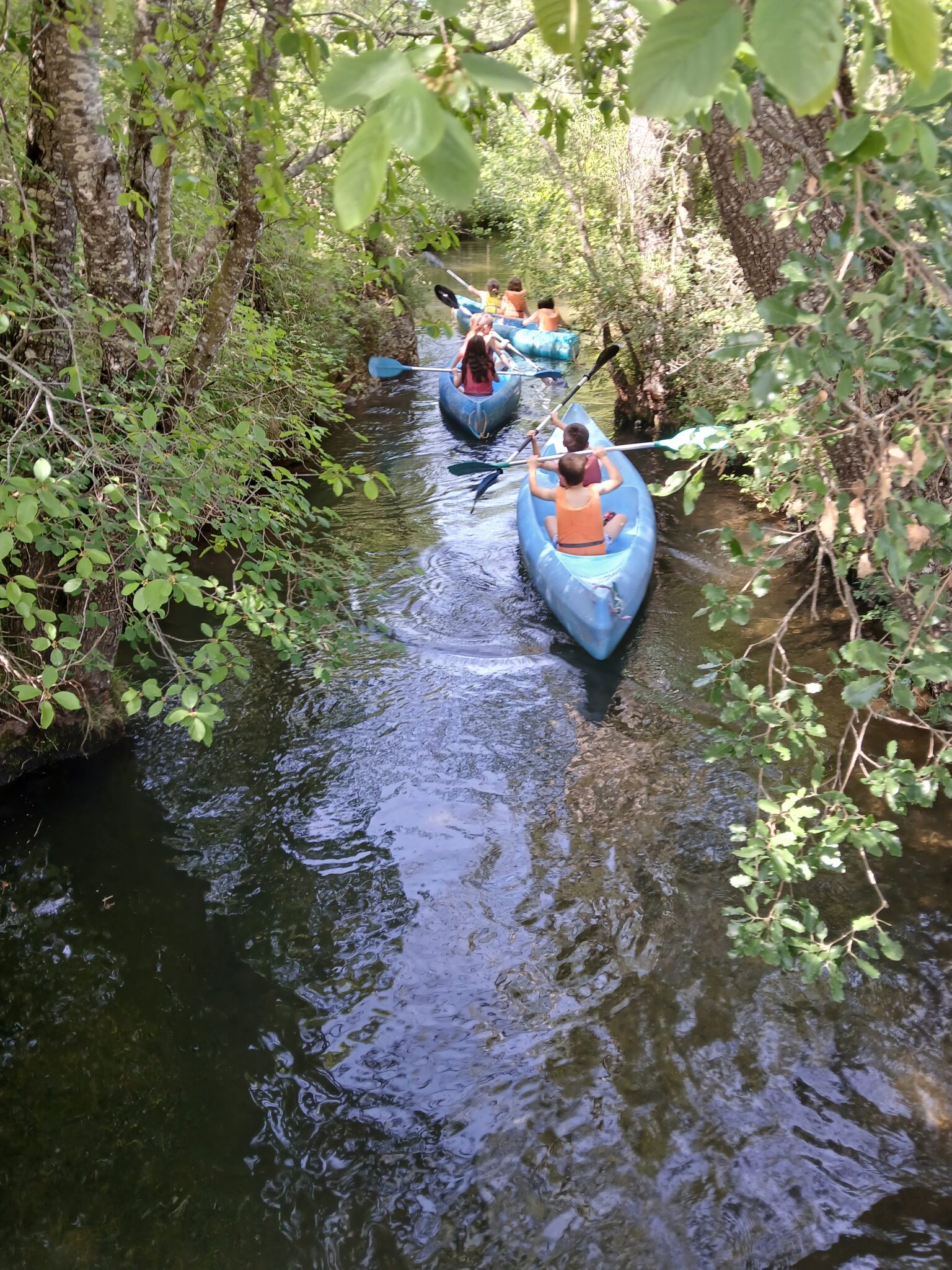Aventura y naturaleza en Molino de Butrera